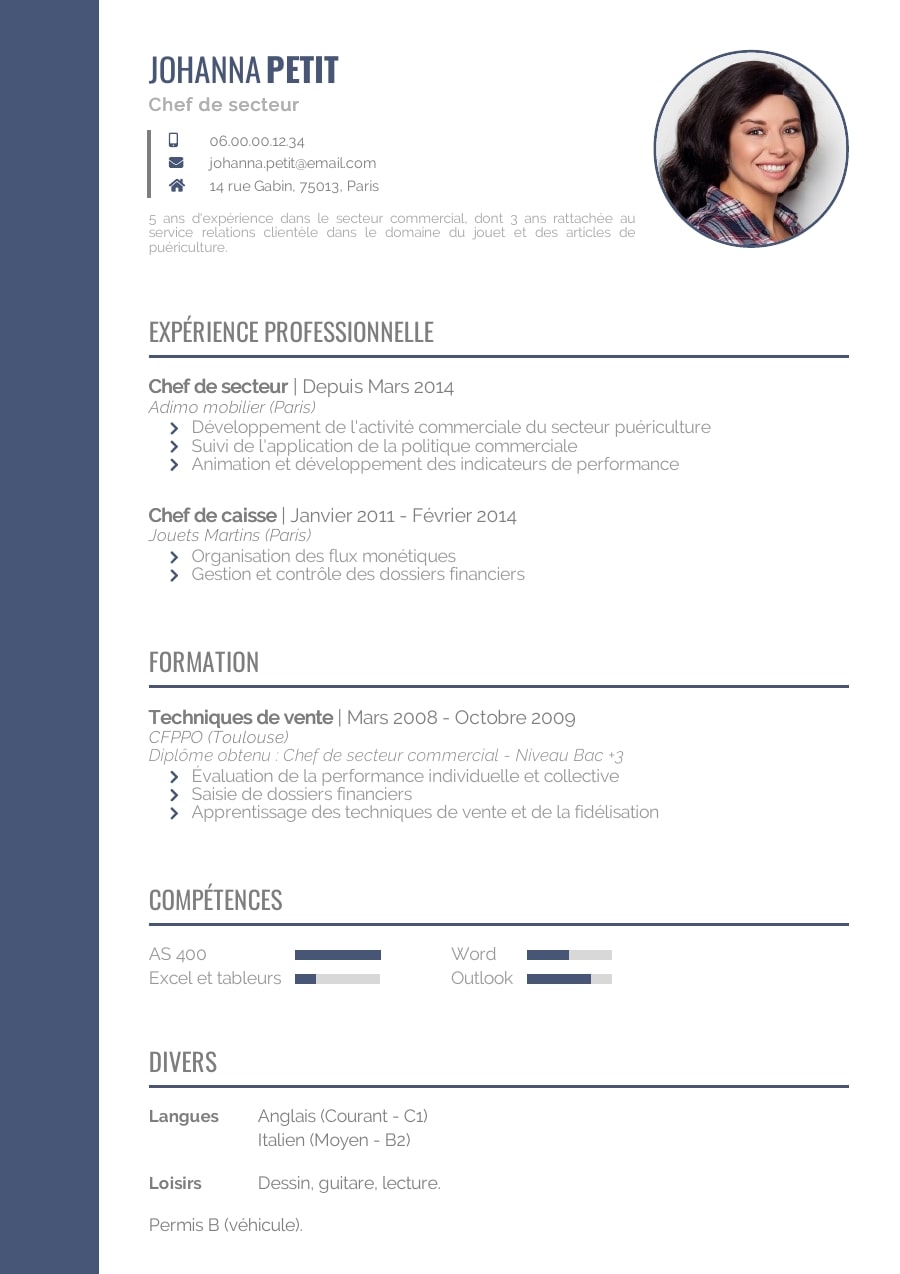 Modèles de cv originaux, cv moderne, cv professionnel  Skilbag